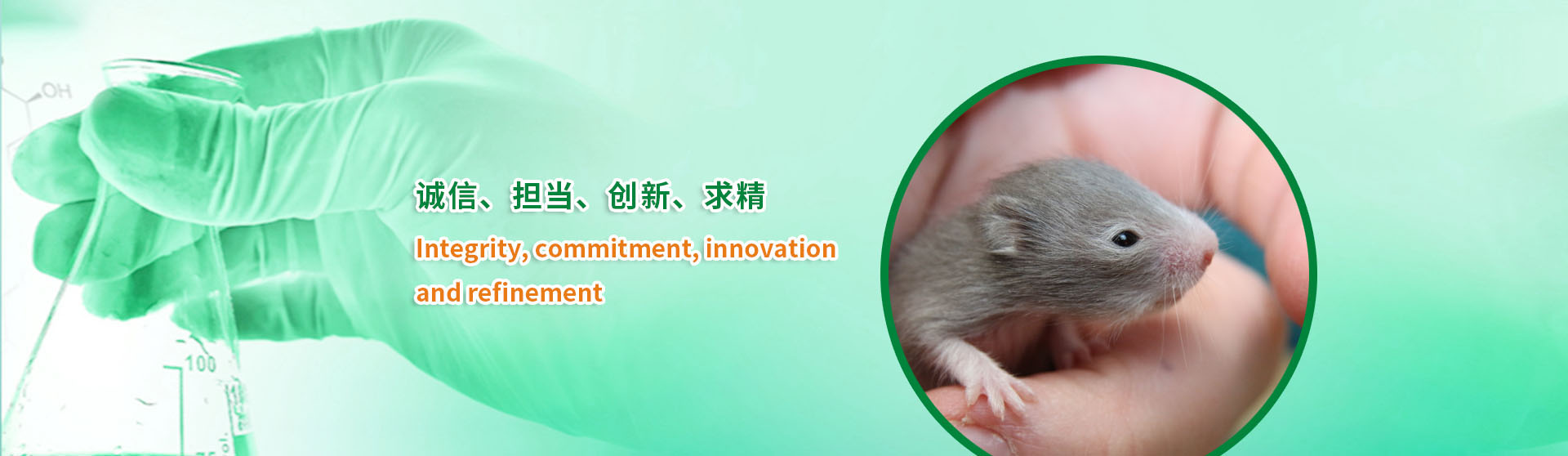 實驗動物定制飼料宣傳圖